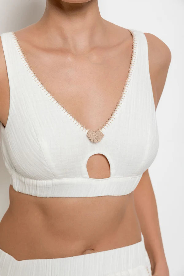 Butterfly Crop Top
